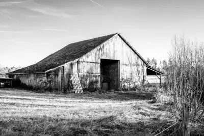 Schwarz-Weiß Aufnahme; zeigt eine aus Holz gebaute, mittelgroße Scheune inmitten einer Wiese und am rechten Bildrand von kahlen (winterlichen) Sträuchern umgeben.