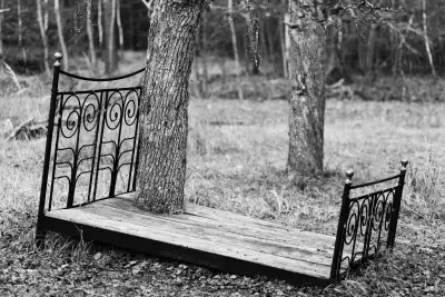 Schwarz-Weiß Aufnahme; zeigt ein ausgedientes Bettgestell, welches am Rande eines Spazierweges abgestellt wurde und dessen Rahmen "um einen Baumstamm" montiert wurde.