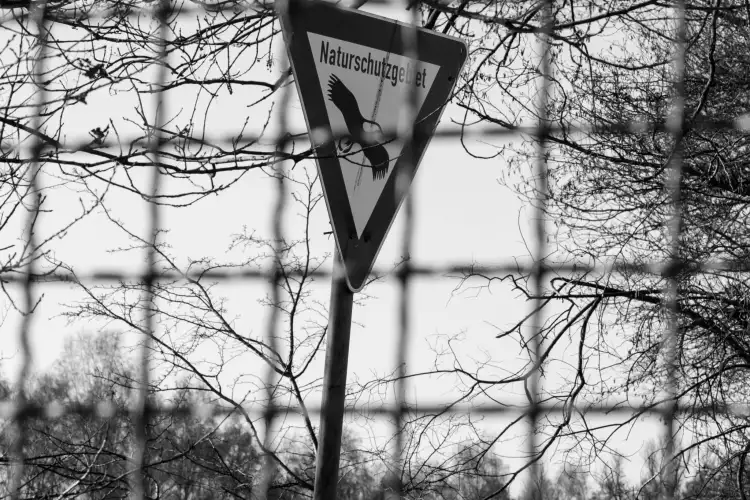 Schwarz-Weiß Aufnahme; zeigt einen Blick durch einen Drahtzaun hindurch auf ein Schild mit dem Hinweis: Naturschutzgebiet.