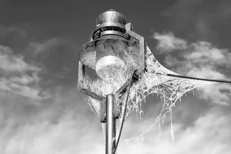 Schwarz-Weiß Aufnahme; zeigt eine Straßenlaterne, deren Leuchtkörper und Halterungen  bereits von zahlreichen Spinnweben eingewoben ist.